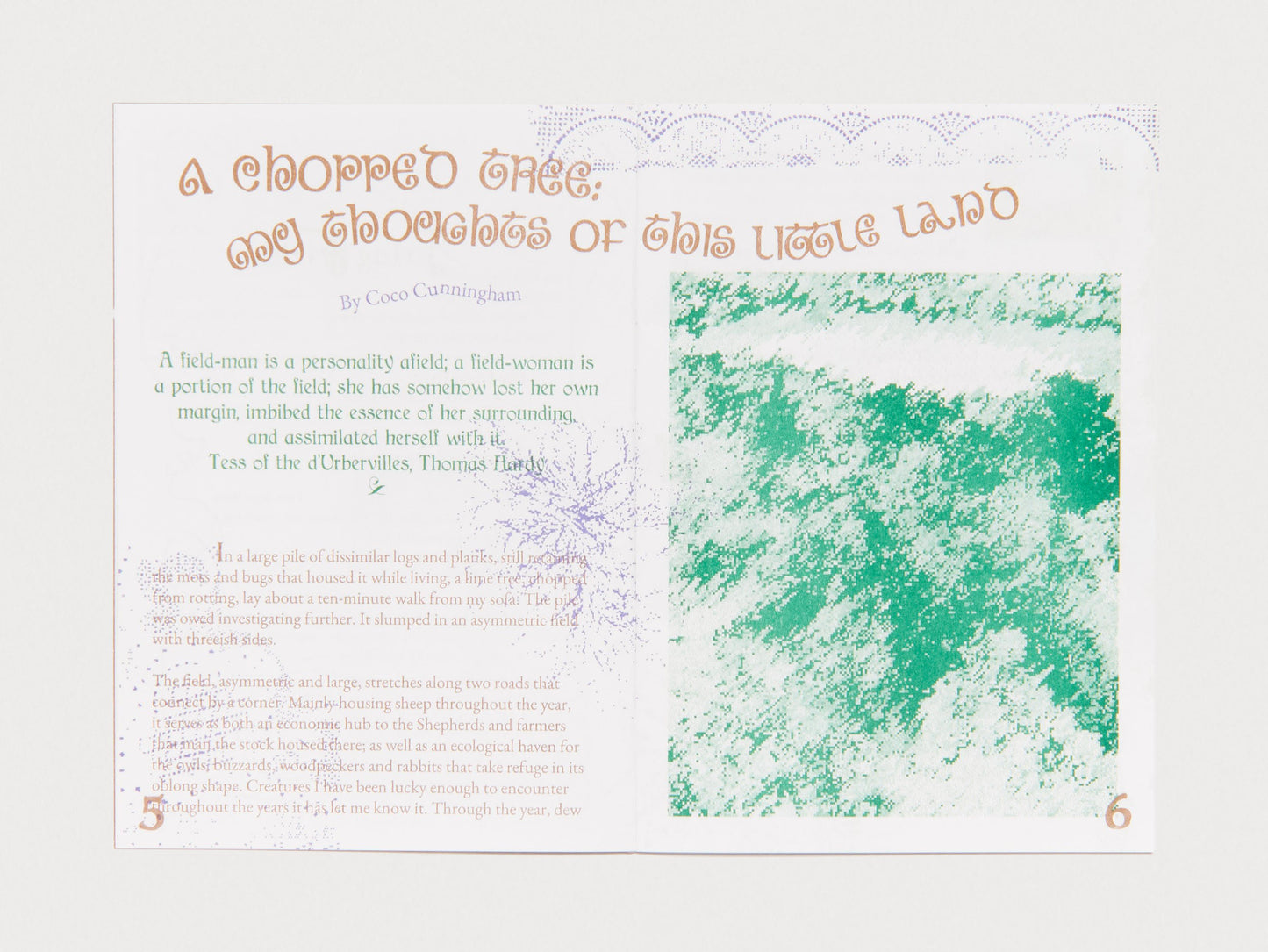 RAMBLING #1: Field Recordings