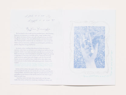 RAMBLING #2: Shores Beyond