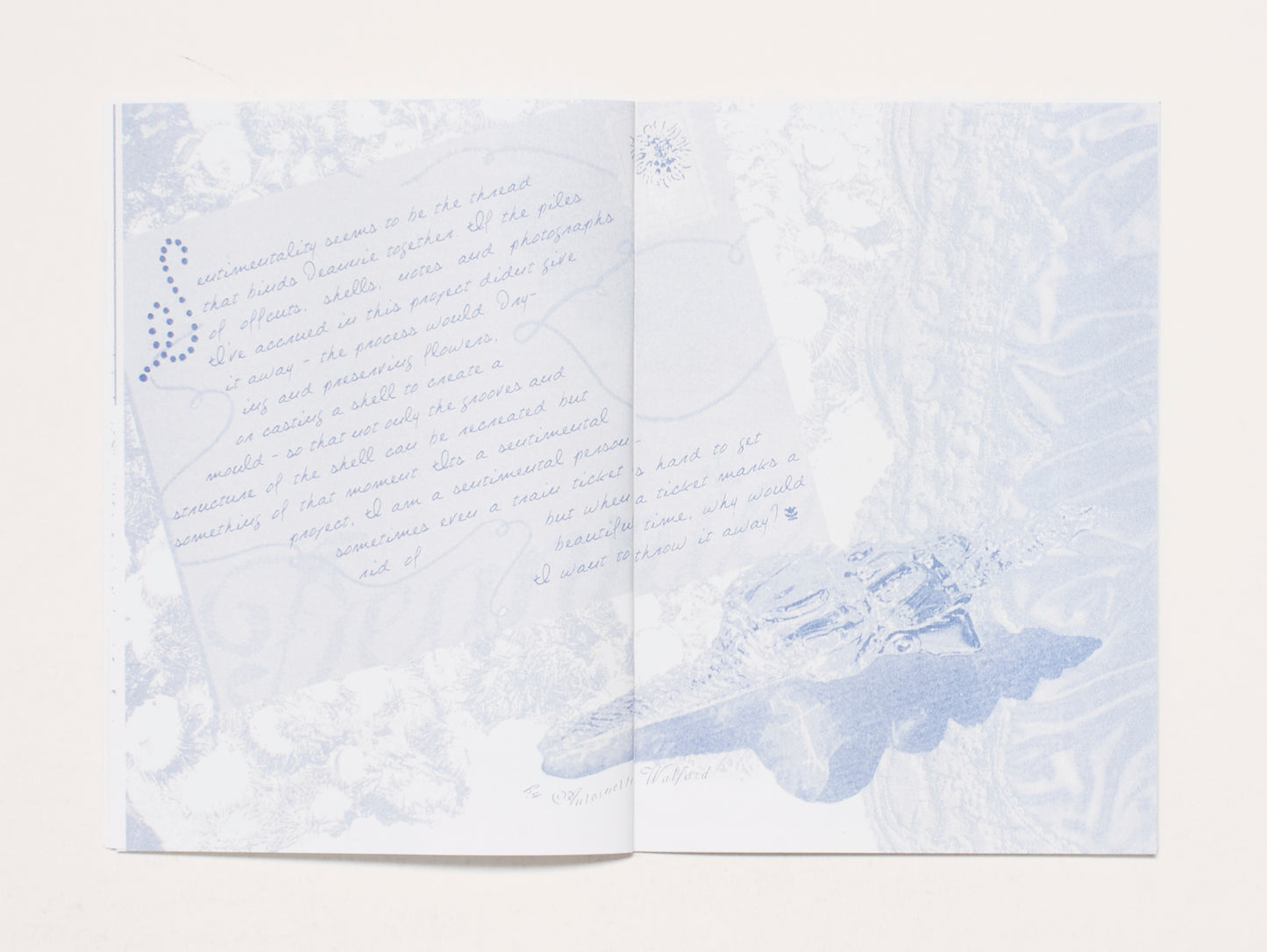 RAMBLING #2: Shores Beyond